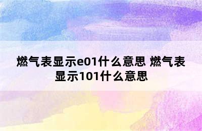 燃气表显示e01什么意思 燃气表显示101什么意思